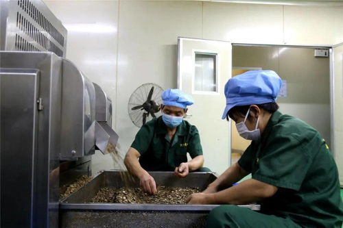 李茂濤深入重點工業企業走訪調研，聚焦技術交流與創新發展